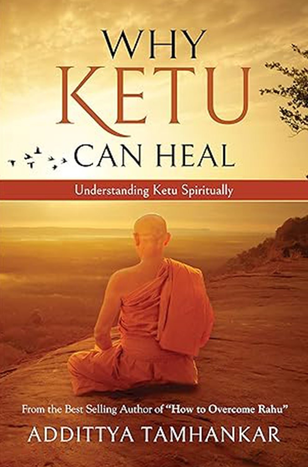 Why Ketu Can Heal