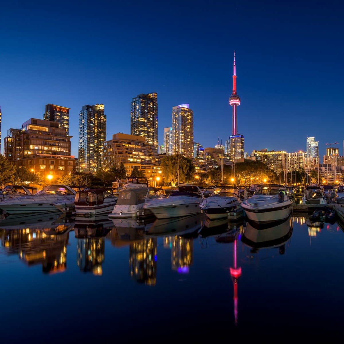 Best Indian Astrologer in Toronto